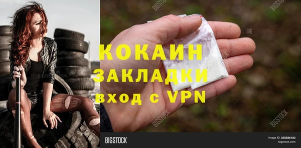 гашик Семилуки