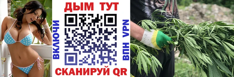 где продают наркотики  Городовиковск  Конопля марихуана 